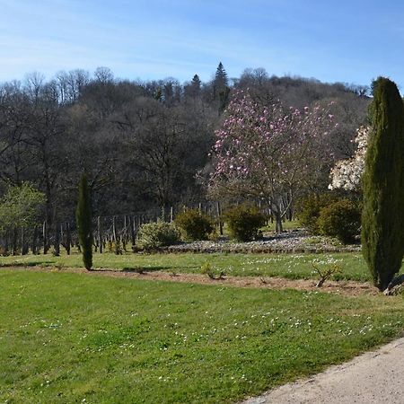 Ferienwohnung La Vigneraie Albiac Exterior foto
