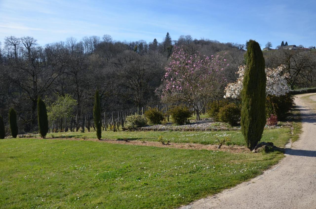 Ferienwohnung La Vigneraie Albiac Exterior foto