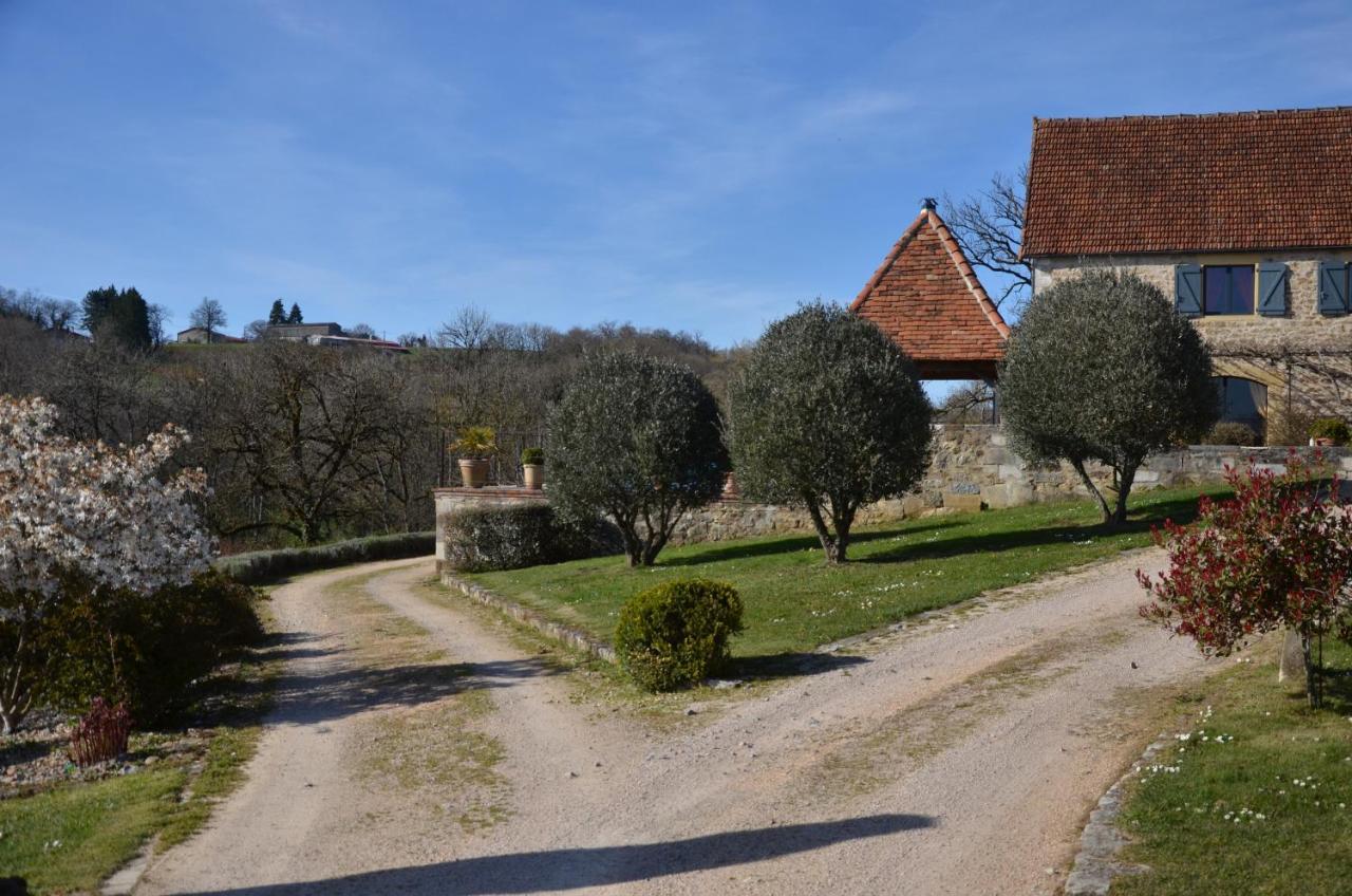 Ferienwohnung La Vigneraie Albiac Exterior foto